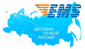 Доставка Софосбувира в ЕКБ и по всех России